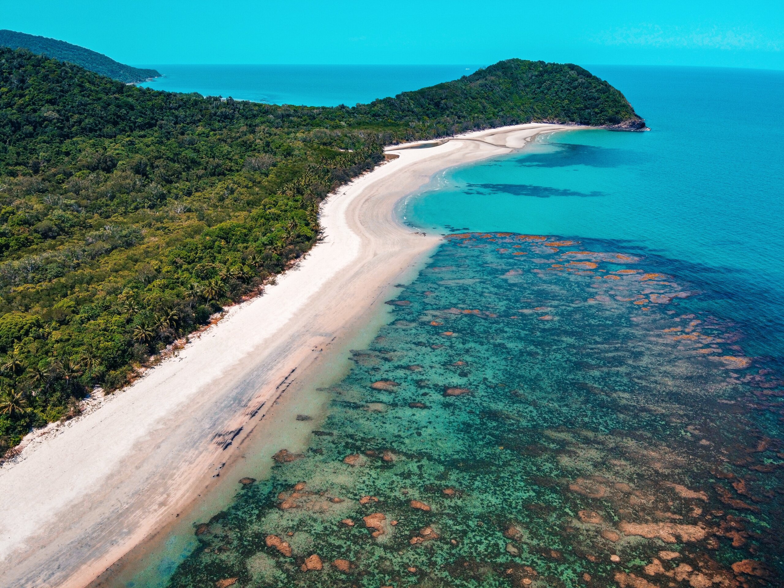 Finally more coral in the Great Barrier Reef