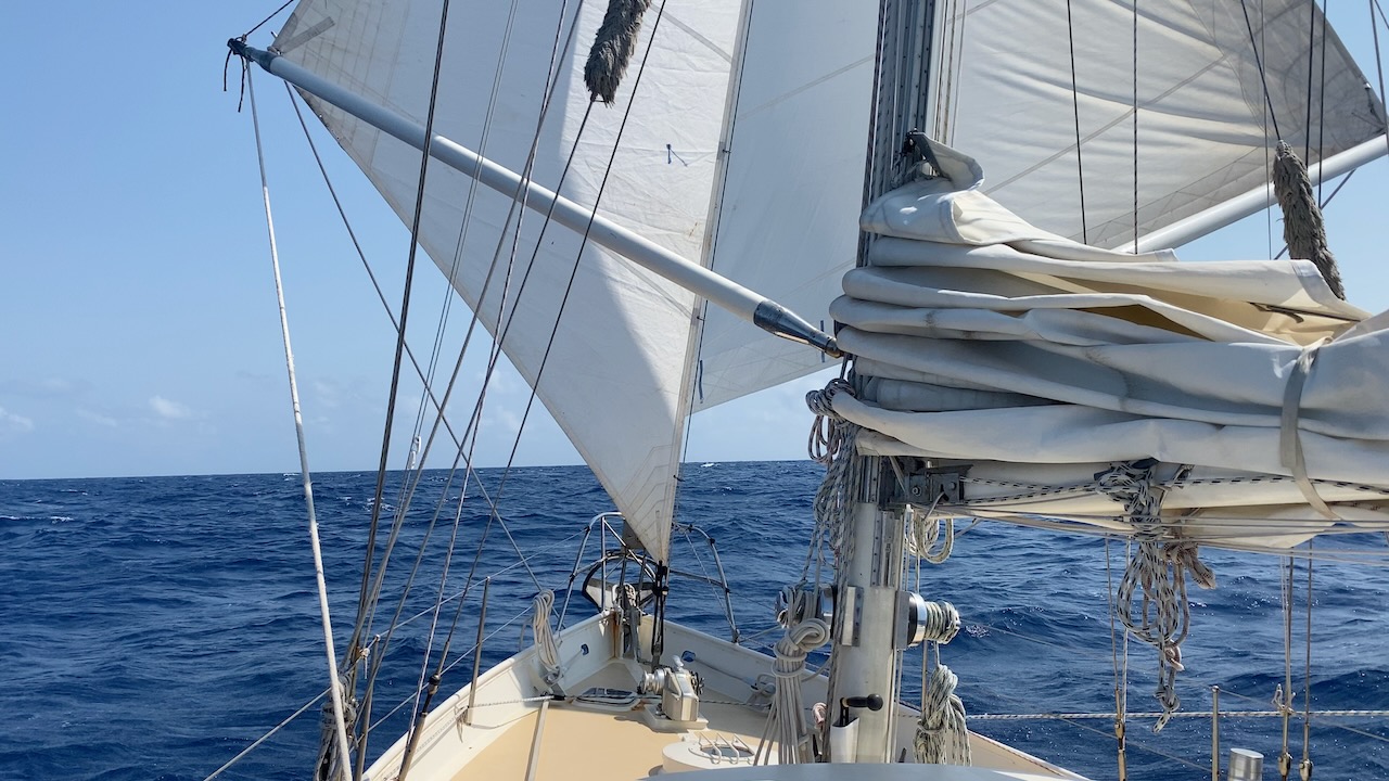 Sailors for Sustainability blog: warm welcome